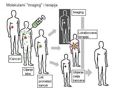 Sl. 1: Šematska ilustracija koja pokazuje kako nanočestica ili drugi lek za kancer mora biti korišćen u tretmanu kancera, (Nature nanotechnology 3 (1) (2008): 12 13.