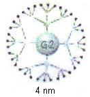 Zbog složenosti problema biodistribucije nanočestica, još uvek su snažno izražene poteškoće u preciznom ciljanju specifičnih organa u telu.