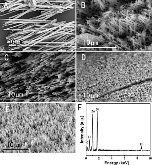 6: a) Postulirani mehanizam sinteze nanožica i nanocevi (1-polimerni templejt, 2-homogena nukleacija, 3- heterogena nukleacija, 4- rast samoasembliranjem, 5- formiranje žice, 6- formiranje cevi,