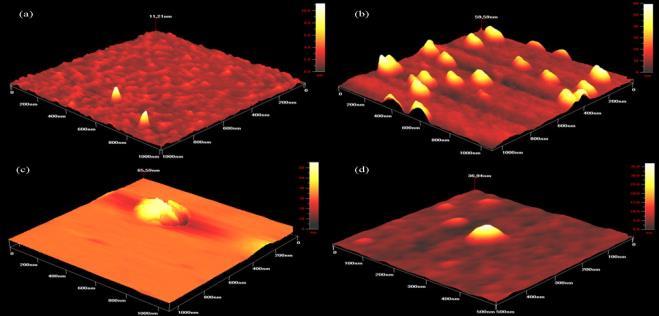 Nanoshell strukture, imaju tu specifičnost u odnosu na sve druge strukture, da budu znatno teže prepoznate kao strana tela od strane imunog sistema pacijenta na putu ka kancerogenim ćelijama.
