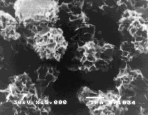 Sl. 29: AFM:Tanki silicijumdioksidni film na povšini čelične trake (Journal of Optoelectronics and Advanced Materials, 11, 2, 2009, 243-250., Surface and Engineering, DOI 10.
