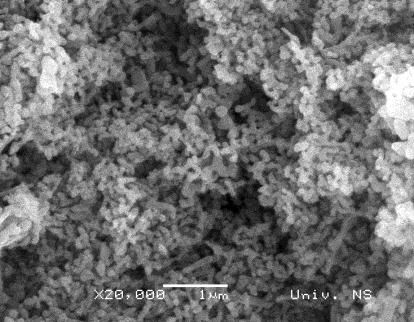 Poroznost strukture skafolda dobijenog freeze drying metodom je ispod 70%, dok je veličina pora dominantno oko 50 μm (sl.59).