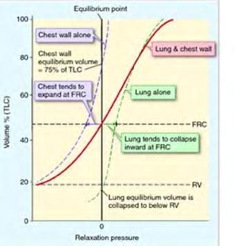 2.2.1 Καμπύλες πίεσης όγκου Η δημιουργία ενός διαγράμματος πίεσης-πνευμονικού όγκου (P-V) είναι απαραίτητη για να εξαχθούν συμπεράσματα για τις ιδιότητες του πνεύμονα και προκύπτει ύστερα από