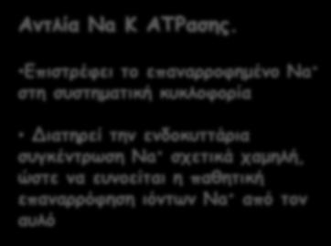 ενδοκυττάρια συγκέντρωση Na + σχετικά χαμηλή, ώστε να ευνοείται η παθητική