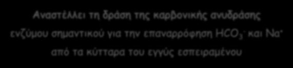 Μηχανισμός δράσης Αναστέλλει τη δράση της καρβονικής ανυδράσης