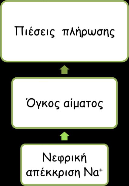 Μηχανισμός ρύθμισης αρτηριακής πίεσης Αρτηριακή Πίεση