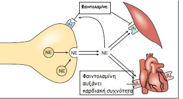 σε μικρές δόσεις, πριν τον ύπνο Αντιρροπιστική λογω