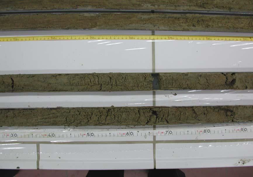 100-150cm