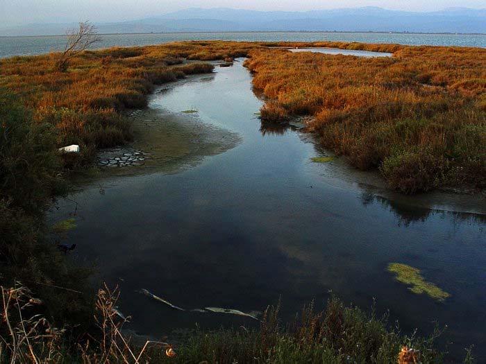 Εικόνα 10: Αµβρακικός κόλπος