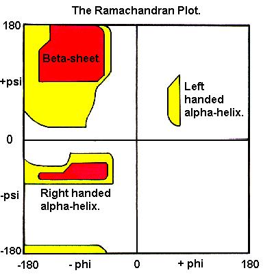 Έλεγχος της Ποιότητας της Δομής µήκος και γωνίες δεσµών Ramachandran plot κατανομή πολικών και µη πολικών αµινοξέων στο