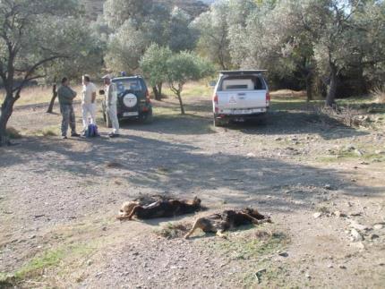 του προγράμματος LIFE+ «Καινοτομίες Ενάντια στην Παράνομη Χρήση