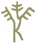 Ιδεογράμματα του δέντρου της ελιάς, του ελαιόλαδου και του καρπού της ελιάς σε πινακίδες της Γραμμικής Α και Β γραφής. Το δέντρο της ελιάς Ο καρπός της ελιάς Το ελαιόλαδο 1.