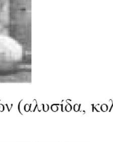 Θα πρέπει πάντα να τοποθετούνται πάνωω σε ειδικό καρότσι