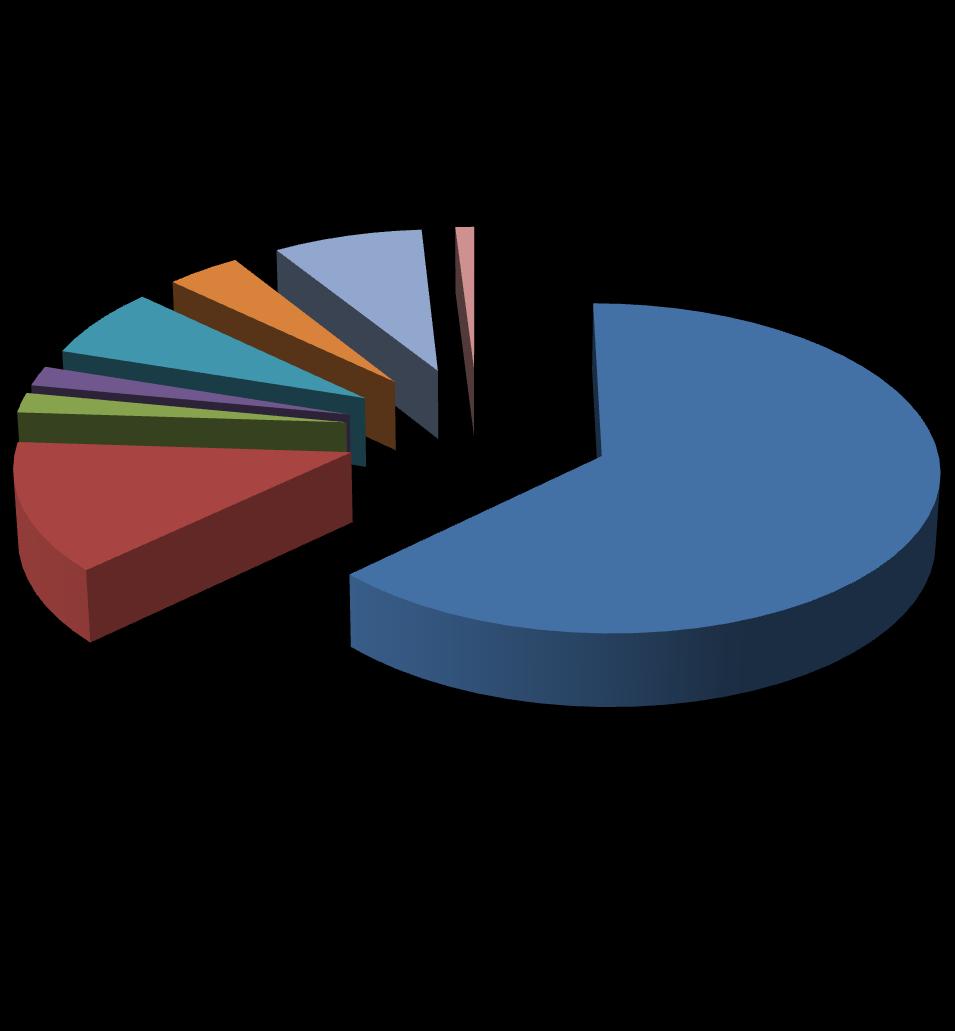 Struktura investicije SE po posameznih postavkah (primer za manjše SE brez TP) Sončni moduli (63%) Razsmerniki (13%) Stikalne in zaščitne naprave