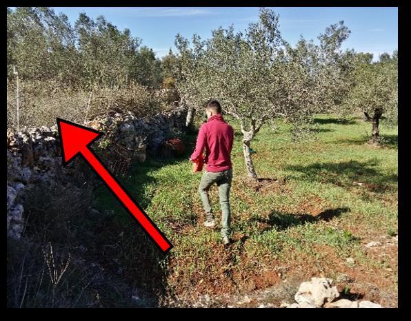 παραπάνω κύκλωμα, που διαρρέεται από σταθερό ρεύμα, δημιουργεί πρωτογενές μαγνητικό πεδίο.