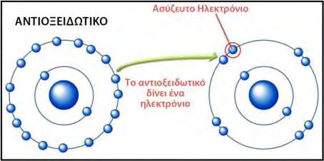 1.6.1. Αντιοξειδωτική ουσία Οποιαδήποτε ουσία, η οποία, όταν είναι παρούσα σε χαμηλές συγκεντρώσεις συγκριτικά με εκείνες των υποστρωμάτων που πρόκειται να οξειδωθούν, καθυστερεί ή αναστέλλει την