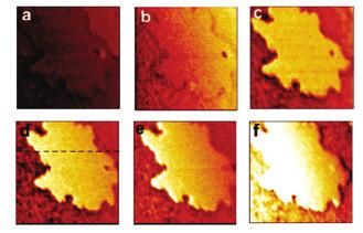 نتیجهگیری 1392 پاییز شماره 3 ایران آزمایشگاهی دانش تخصصی فصلنامه Si/SiO2 روی پنتاسن جزیرههای EFM تصاویر 17: شکل مختلف بایاس ولتاژهای در نانومتری 25 0/4 V(f( 0/2 V(e( 0 )d( -0/5 V(c( -0/6 V(b( -0/8