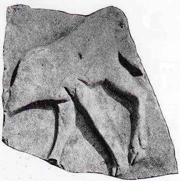 Εικ. 33.