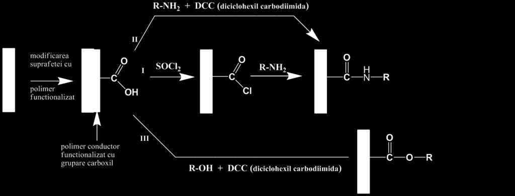 Aplicaţii ale electrozilor modificaţi se găsesc în domenii cum ar fi electrosinteza (reacţii stereospecifice), electroanaliza (senzori) şi electrocataliza (fotoelectrocataliza). 2.