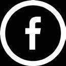divingteam Page Likes > 4029 Average