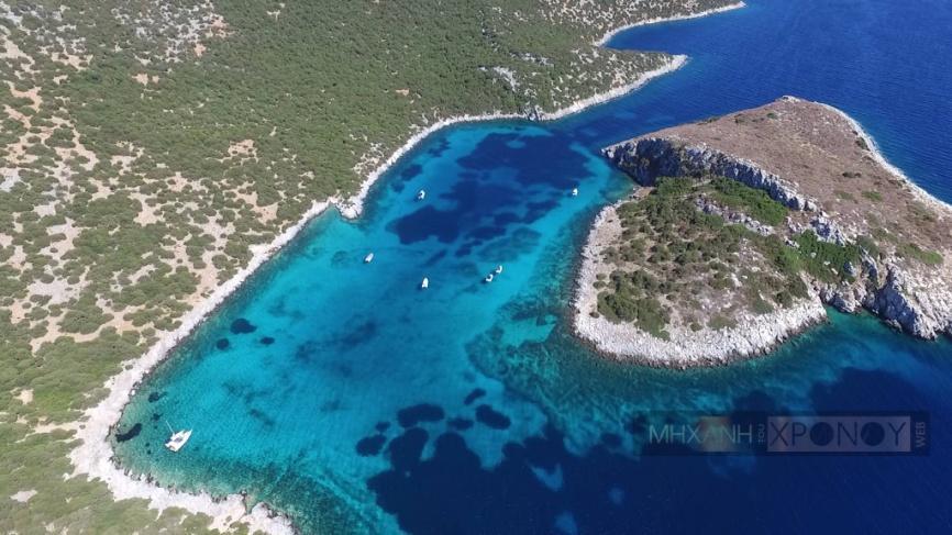 Το θερινό «Νταβός» Παγκόσμιο Πολιτιστικό Κέντρο