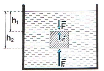 . Теоријски део.1. Сила потиска у течностима и гасовима За подизање камена са дна реке кроз воду потребна је мања сила него при подизању истог камена кроз ваздух.