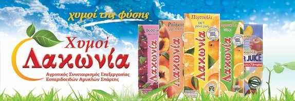 #ΑΠΟ Τ ΑΛΩΝΙΑ 9 2005-06.