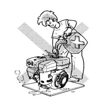 Poate apărea riscul electrocutării în cazul utilizării necorespunzătoare (prezenţa umidităţii, atingerea generatorului cu mâinile ude). 11.