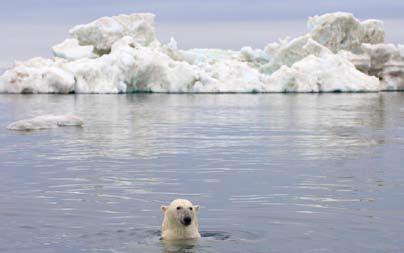 Τα τελευταία χρόνια, ο ρόλος της Αρκτικής στην κλιματική αλλαγή έχει καταστεί πολύ πιο εμφανής με εκτεταμένες επιπτώσεις, διότι η περιοχή λειτουργεί ως ρυθμιστής του κλίματος του πλανήτη,