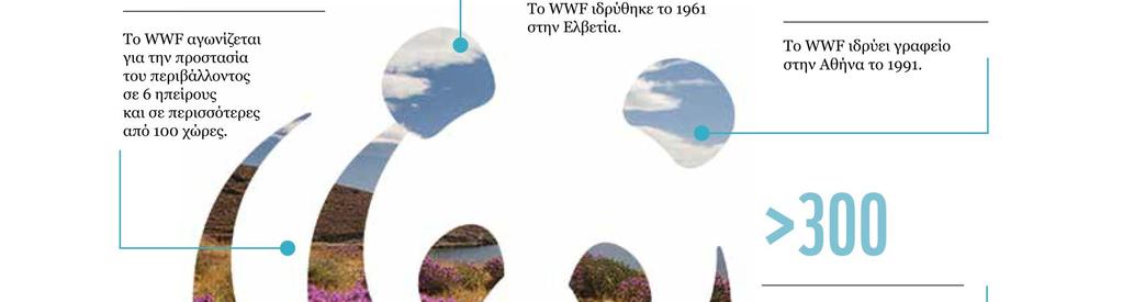 36 WWF
