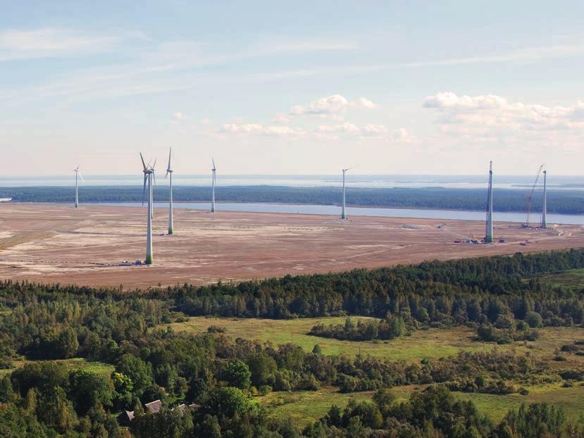 otsapidi tuule küljes EESTI ENERGIA ARHIIV Eesti Energia püstitas Balti elektrijaama suletud tuhaväljale 17 tuulikuga tuulepargi.