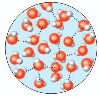 Molekule življenja Vodikove vezi med sosednjimi molekulami vode so mnogo šibkejše kot kovalentne vezi med atomi znotraj molekule vode.