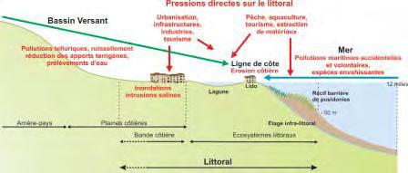 vivant sur le littoral est parfois surnommée population de la «côte bétonnée» pour mettre en évidence l urbanisation intense et dans certains cas peu ou mal contrôlée (Thibault, 2007).