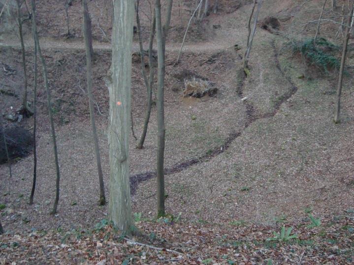 vrha Grajskega hriba, smo v opuščenem Dornovem kamnolomu opazili manjši skalni podor, ki se od plazu razlikuje