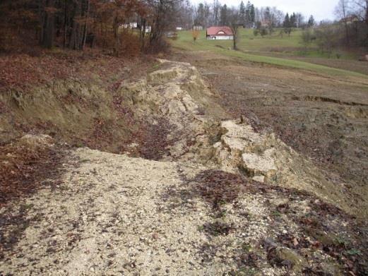 Fotografija 32: Manjši usad (polzenje prsti) Fotografija 33: Plaz V naslednjem geološkem pasu