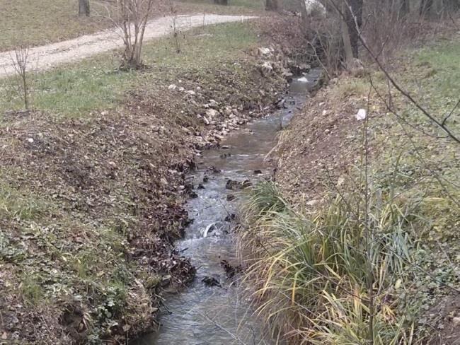 Fotografija 34: Košniški potok v spodnjem toku Fotografija 35: Vrtača v gozdu v Košnici Na skladih apnenca so se razvili kraški pojavi.
