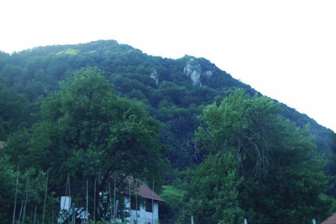 Tukaj so višje nadmorske višine in bolj strm relief. Ko je Savinja zašla v ta pas kamnin, je tukaj naredila strmo sotesko.