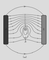 - صف شكل المجال المغناطيسي في كل من الشكلين )أ ب(. - عند وضع السلك الذي يسري فيه التيار في المجال المغناطيسي. ماذا حدث لخطوط المجال المغناطيسي.