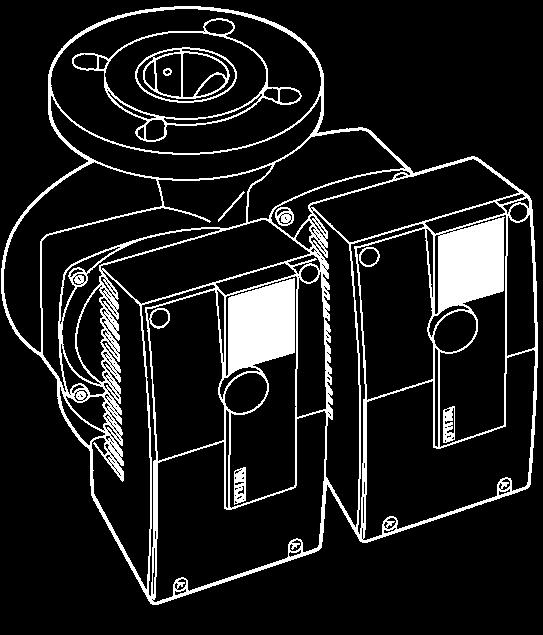 Fig. 2a