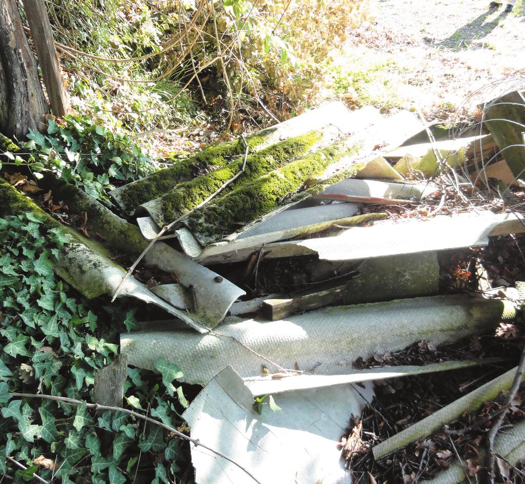 »Če bi se še enkrat odločal za službo v azbestni proizvodnji v Anhovem, se ne bi odločil zanjo, niti za dvojno plačo ne,«zagotavlja.»danes drugače gledam na življenje.