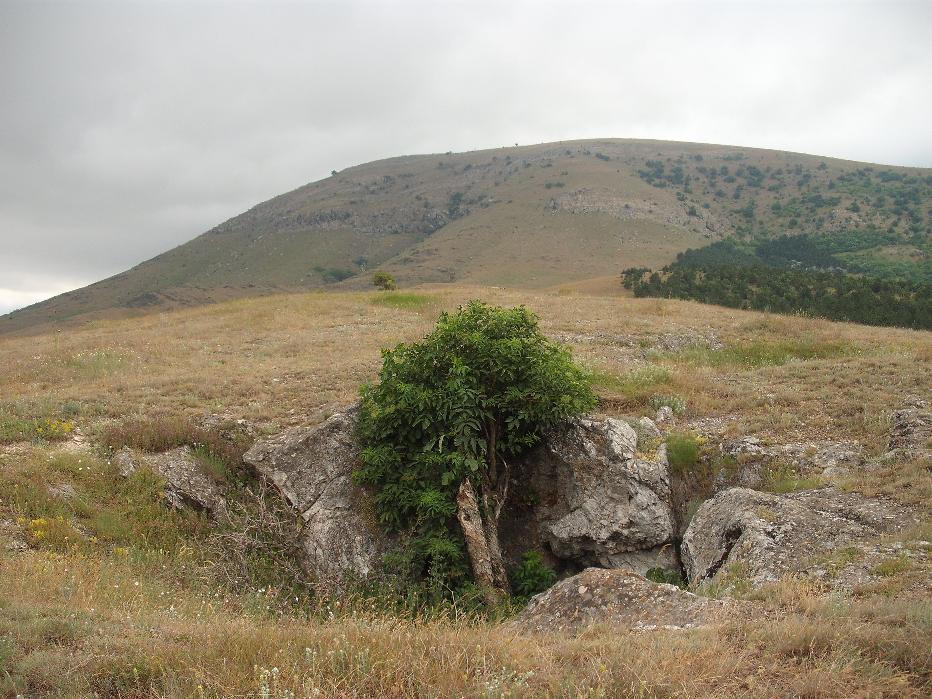 Fig. 27 - Amplasamentul Pesterii lui Terente fata de Rezervatia Chervant-Priopcea Avand in vedere pozitionarea Pesterii lui Terente fata de amplasamentul carierei analizate, respectiv la o distanta