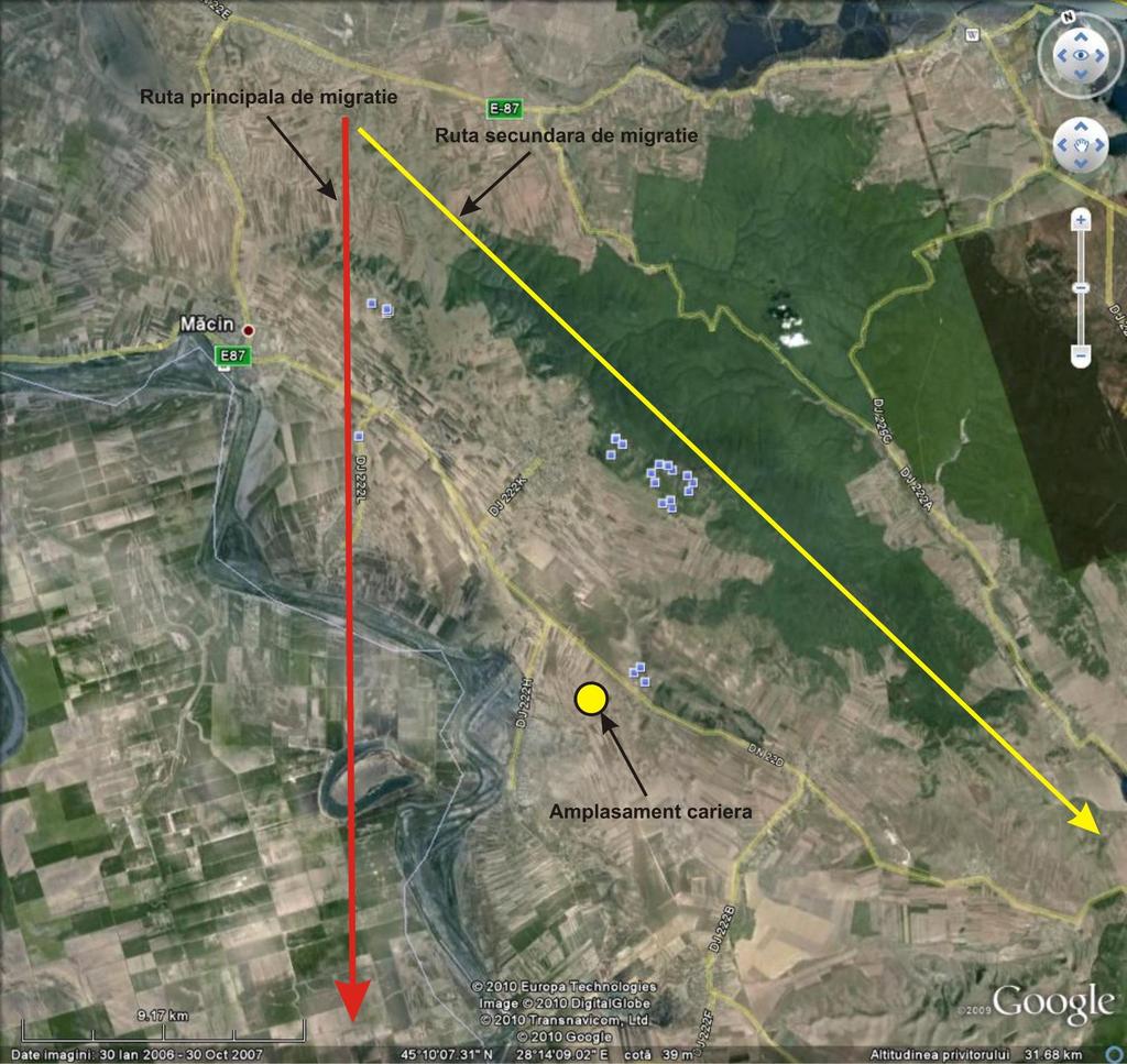 unde se pot folosi de curenţi puternici spre a migra mai departe. Acest fapt reiese şi din figura de mai jos (nr. 31), unde se poate observa amplasarea carierei în afara rutei de migraţie: Fig.