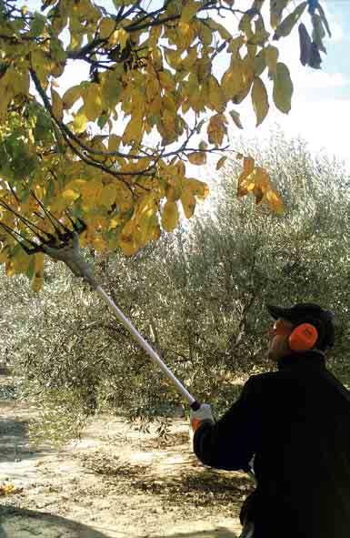 Ραβδιστικά μηχάνηματα Προστατευτικά σωληνάκια KOMBI SP-KM Σωλήνες προέκτασης Τέσσερα προστατευτικά σωληνάκια για τα χτένια, για τη μείωση των βλαβών στα κλαδιά και στις ελιές. Για SPA 65 και SP-KM.