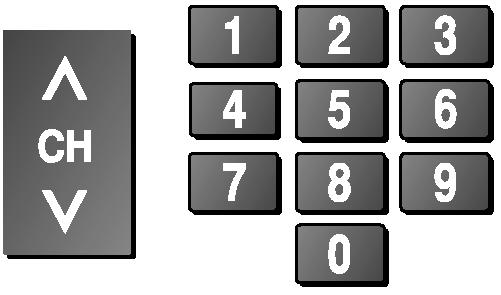 שימוש בתפריט VIERA Link לחץ על, כדי להציג את VIERA Link Menu [תפריט קישור.[Viera בחר Pause Live TV ולחץ OK כדי להפסיק. תוכנית בשידור חי תוקלט על HDD מהנקודה שבה הופסקה.