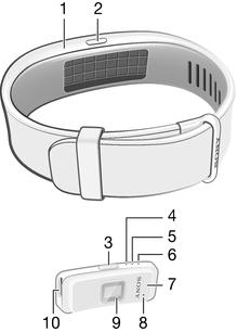 Βασικά στοιχεία Εισαγωγή Το SmartBand 2 είναι ένα συνοδευτικό προϊόν που συνδέεται ασύρματα μέσω Bluetooth με το iphone σας.