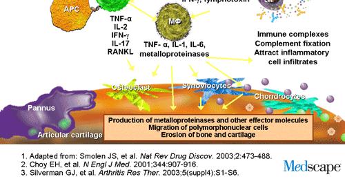 NK-cells Κύτταρα του αρθρικού