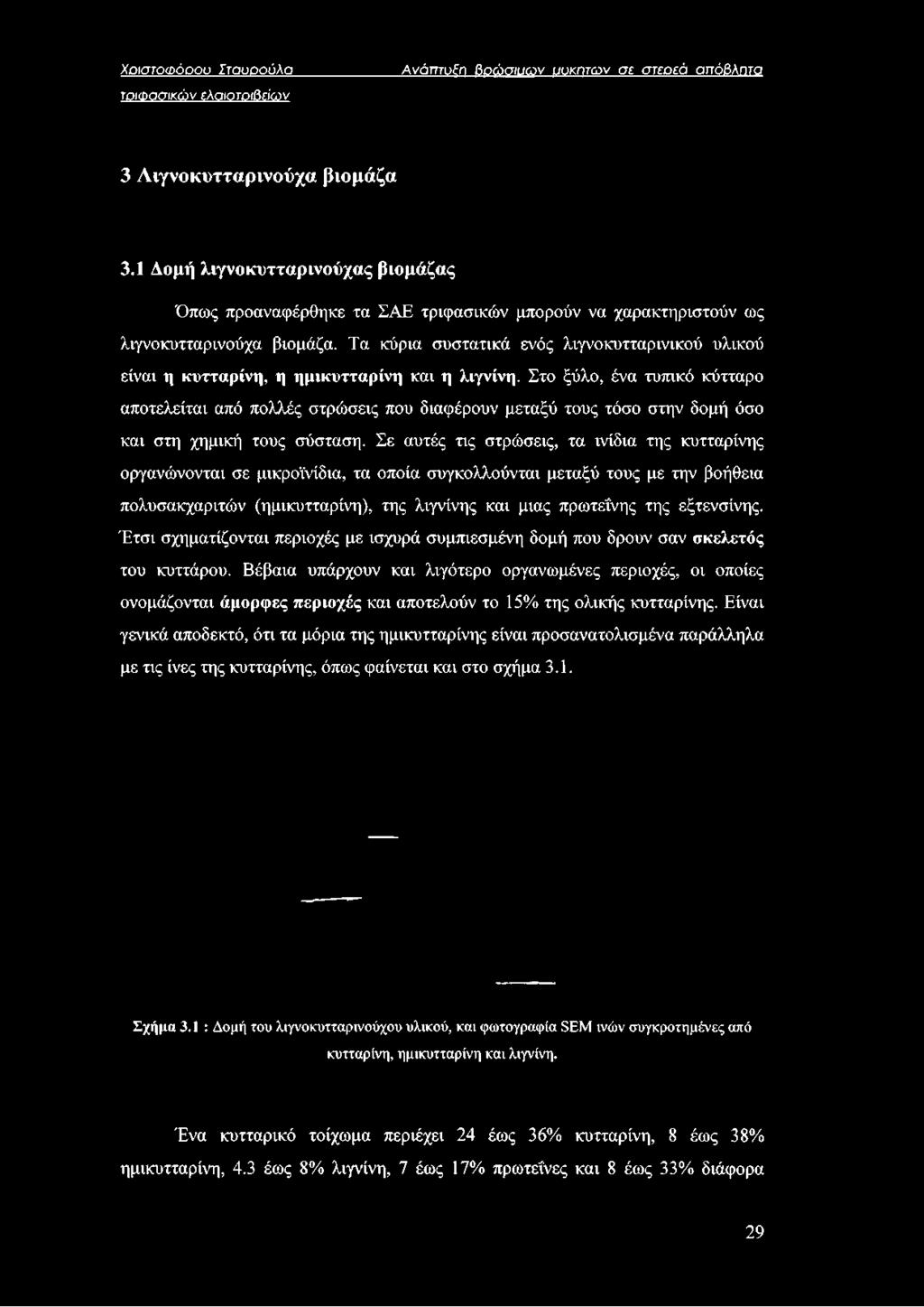Τα κύρια συστατικά ενός λιγνοκυτταρινικού υλικού είναι η κυτταρίνη, η ημικυτταρίνη και η λιγνίνη.