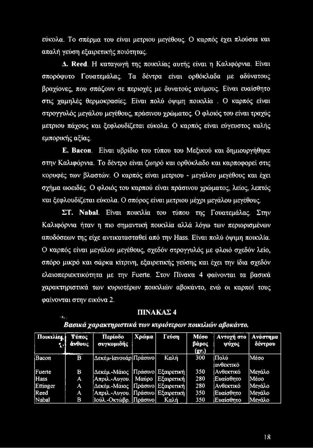 Ο καρπός είναι στρογγυλός μεγάλου μεγέθους, πράσινου χρώματος. Ο φλοιός του είναι τραχύς μέτριου πάχους και ξεφλουδίζεται εύκολα. Ο καρπός είναι εύγευστος καλής εμπορικής αξίας. Ε. Bacon.