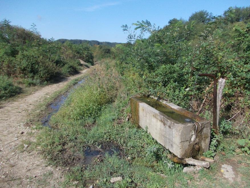 Volumul de apă 12 mc;timp de umplere -48 ore Cultura irigată căpșun Suprafața 3 ari Izvorul Puț forat la Lungulețu Dâmbovița Râu de munte în județul Mureș folosit la irigații prin aspersie în