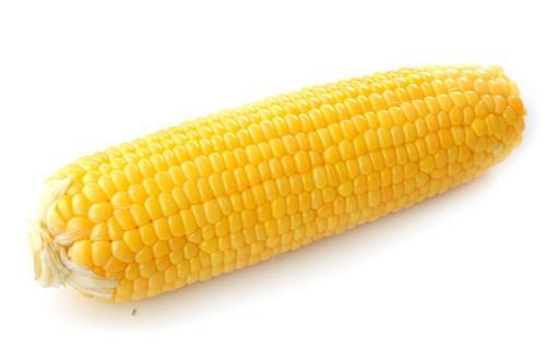 raž, ječam) u metlici (pirinač,